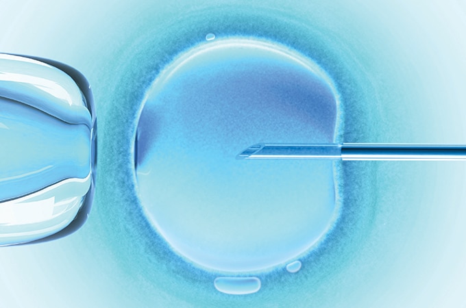 ASRM 2016: Retrieval of More Eggs in IVF Leads to More Babies Born Per Cycle