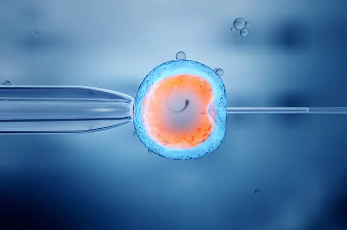 IVF Treatment: The Beginner's Guide